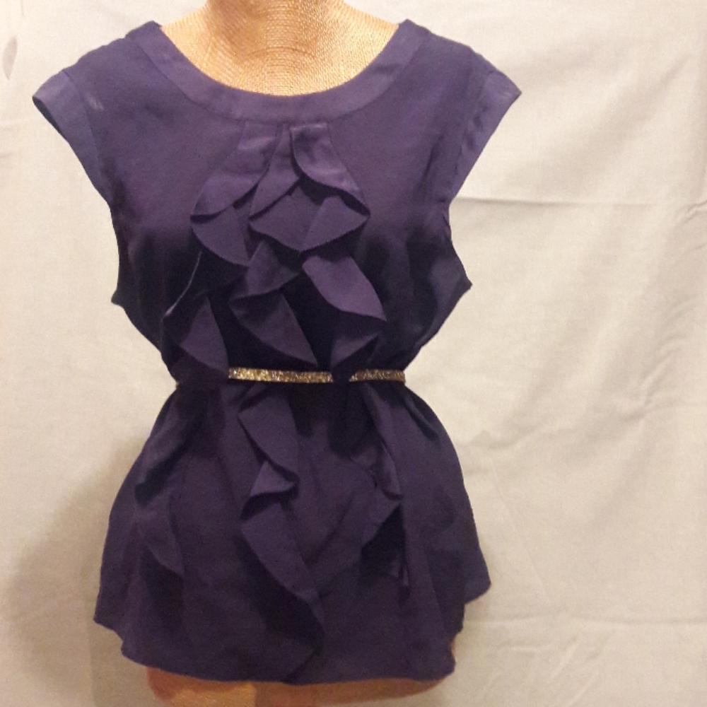Ann Taylor Blouse